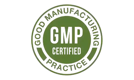 prodentim-gmp-certified